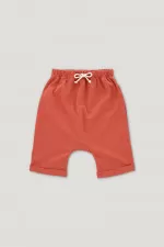 NICK SHORTS terracotta 