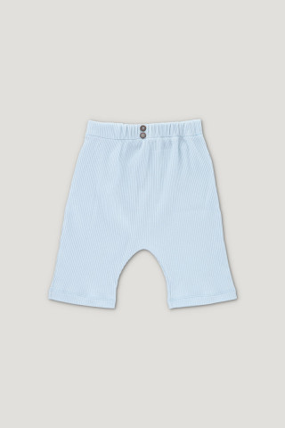 ARCHIE ribbed shorts light blue 