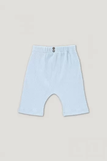 ARCHIE ribbed shorts light blue 