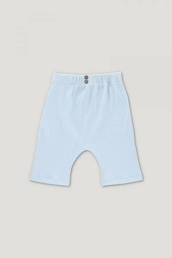 ARCHIE ribbed shorts light blue 