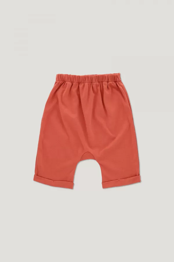 NICK SHORTS terracotta 