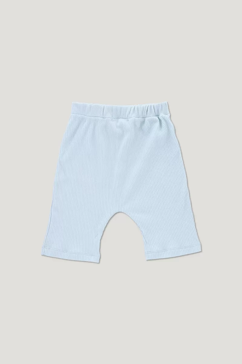 ARCHIE ribbed shorts light blue 