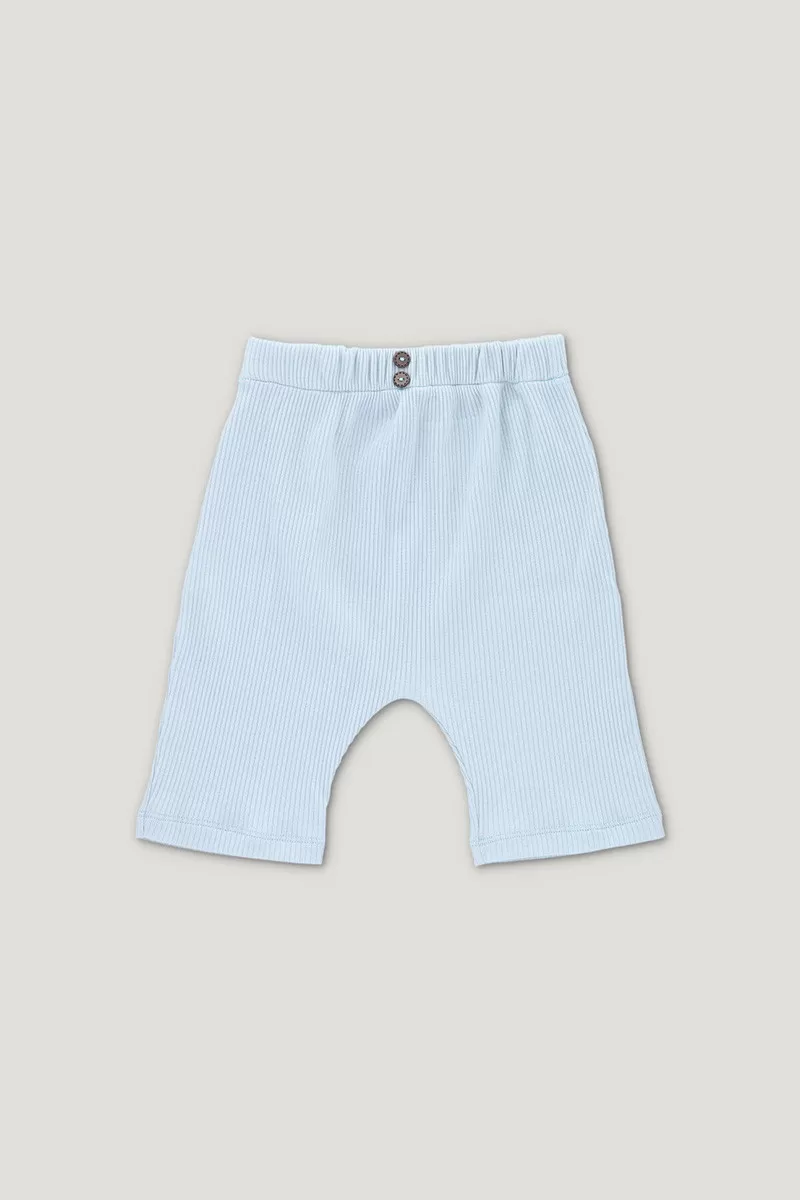 ARCHIE ribbed shorts light blue 